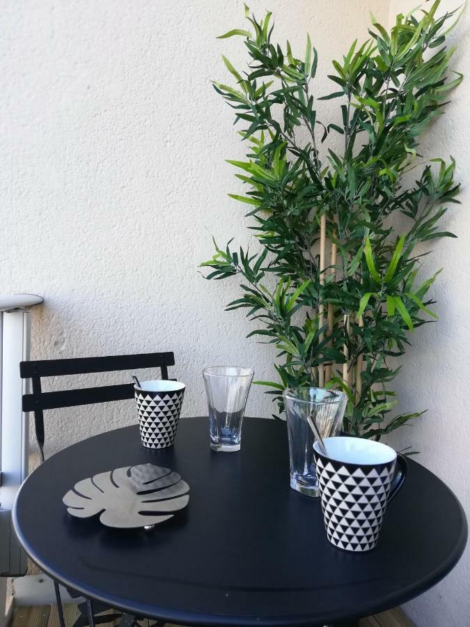 Appartement Cosy Proche Meteo France Et Airbus Toulouse Luaran gambar